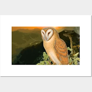 Owl on the Horizon Posters and Art